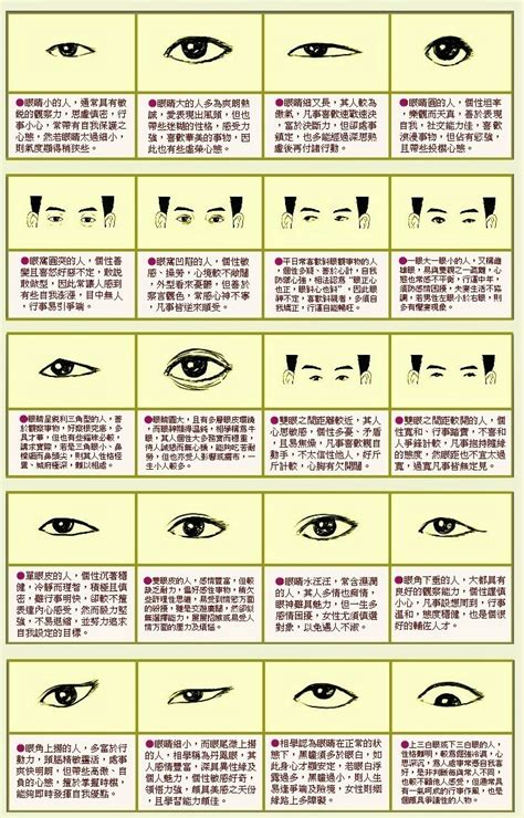 鷹眼 面相|【鷹眼 面相】用「鷹眼」面相分析你的人生：神準解析，掌握好。